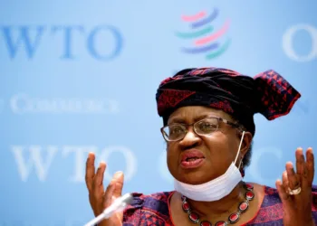 WTO To Empower Nigeria's Sesame and Cowpea Exports