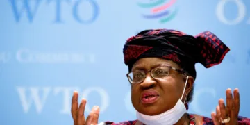 WTO To Empower Nigeria's Sesame and Cowpea Exports