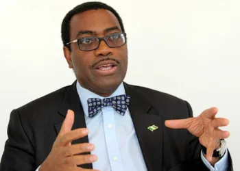 AfDB Cautions African Nations Against Tying Loans To Natural Resources