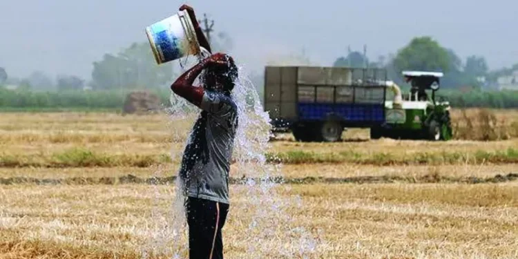 Botswana Cancels Schools' Outdoor Activities, Here's Why