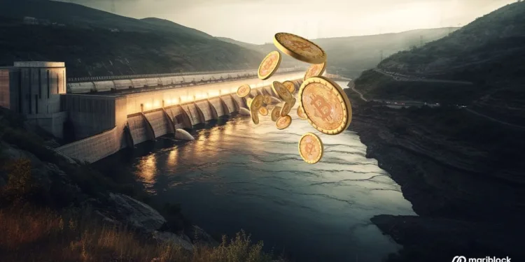 Ethiopia To Champion Bitcoin Mining Despite International Climate Grants - Ethiopia is set to the park of Bitcoin mining in Africa as the Government’s investment arm, Ethiopian Investment Holdings (EIH), signs a memorandum of understanding with Hong Kong-based West Data Group’s Center Service PLC to commence mining Bitcoin. Ethiopia To Champion Bitcoin Mining Despite International Climate Grants