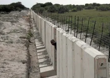Why South Africa Is Constructing $2.7m Border Wall