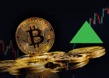 Fresh Report Suggests 1 In 5 Nigerians Transact Daily With Bitcoin