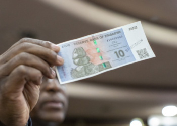 REVEALED: Why Zimbabwean Dollar Ceases To Exist