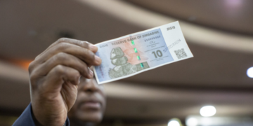 REVEALED: Why Zimbabwean Dollar Ceases To Exist