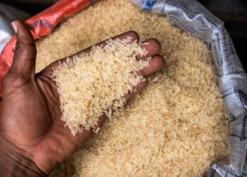 Nigerians Heaves A Sigh Of Relief As Rice Prices Crash By Over 20%