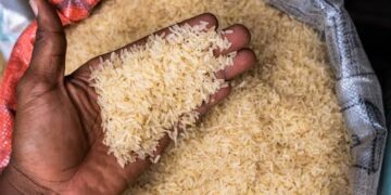 Nigerians Heaves A Sigh Of Relief As Rice Prices Crash By Over 20%
