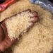 Nigerians Heaves A Sigh Of Relief As Rice Prices Crash By Over 20%