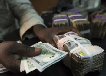 CBN Injects Fresh Dollars, Naira Feels the Boost