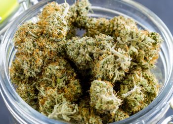 Kush: A Cheap Synthetic Drug Ravaging The Youth Of Sierra Leone