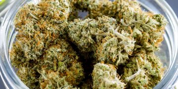 Kush: A Cheap Synthetic Drug Ravaging The Youth Of Sierra Leone