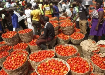 Here're Good Alternatives To Fresh Tomatoes Amid Rising Prices